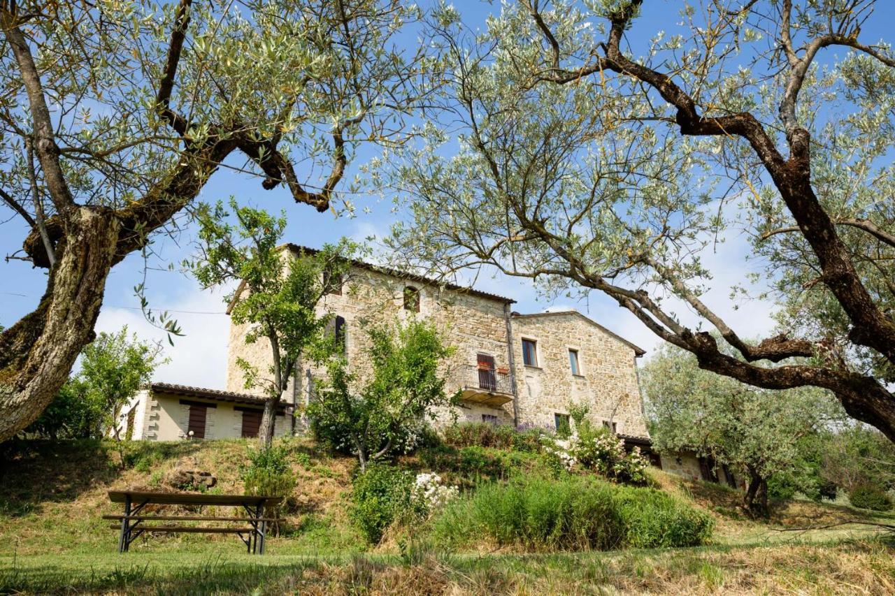 Villa Colle Di Rocco Limigiano Экстерьер фото