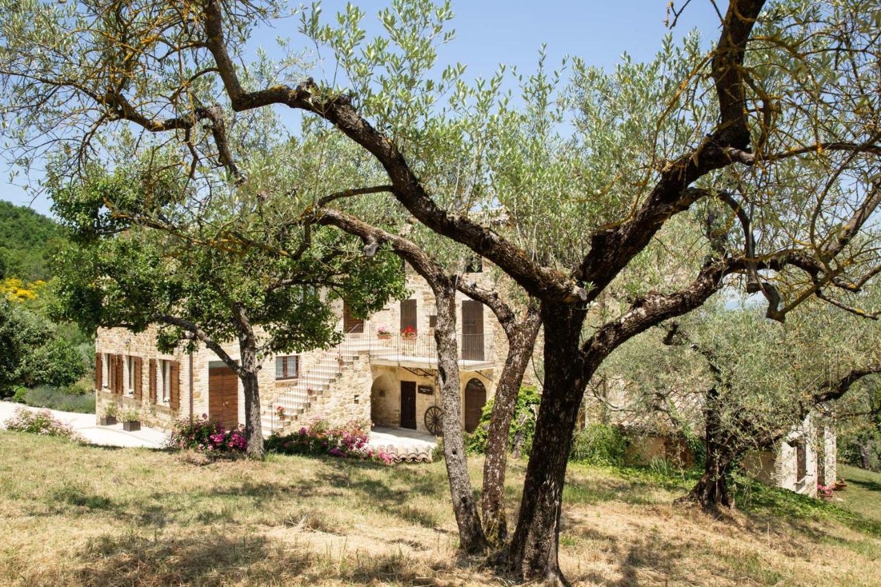 Villa Colle Di Rocco Limigiano Экстерьер фото